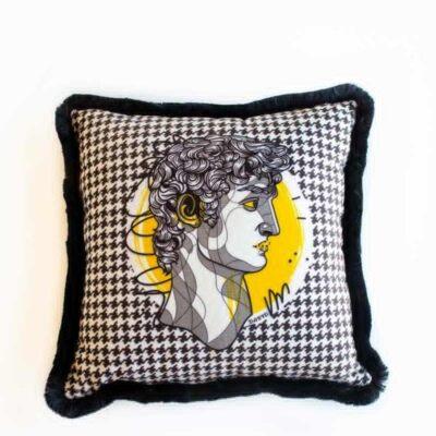 Cushion Cover Collection  Multicoloured  Code EY284CC