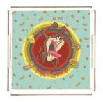 Plexy Tray Collection Multicoloured. Code PT2155