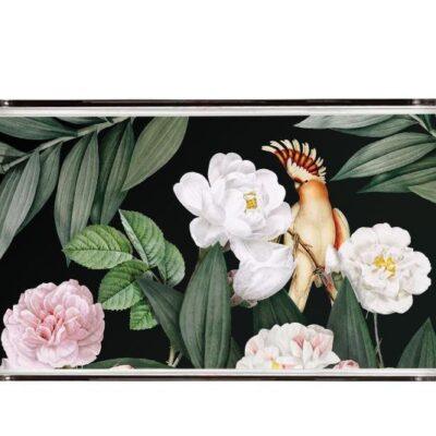 Code PT2123 - Plexy Tray Collection Multicoloured