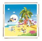 Plexy Tray Collection Multicoloured. Code PT2159