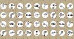 Coffee Bar MURAL WALLPAPER, Available in Various Paper Texture, Code C152. 105 CM WIDE ROLL PANELS.