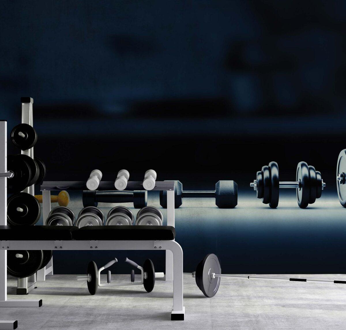 Fitness Center MURAL WALLPAPER, Available in Various Paper Texture, Code G103. 105 CM WIDE ROLL PANELS. - Image 2