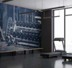 Fitness Center MURAL WALLPAPER, Available in Various Paper Texture, Code G104. 105 CM WIDE ROLL PANELS. - Image 2