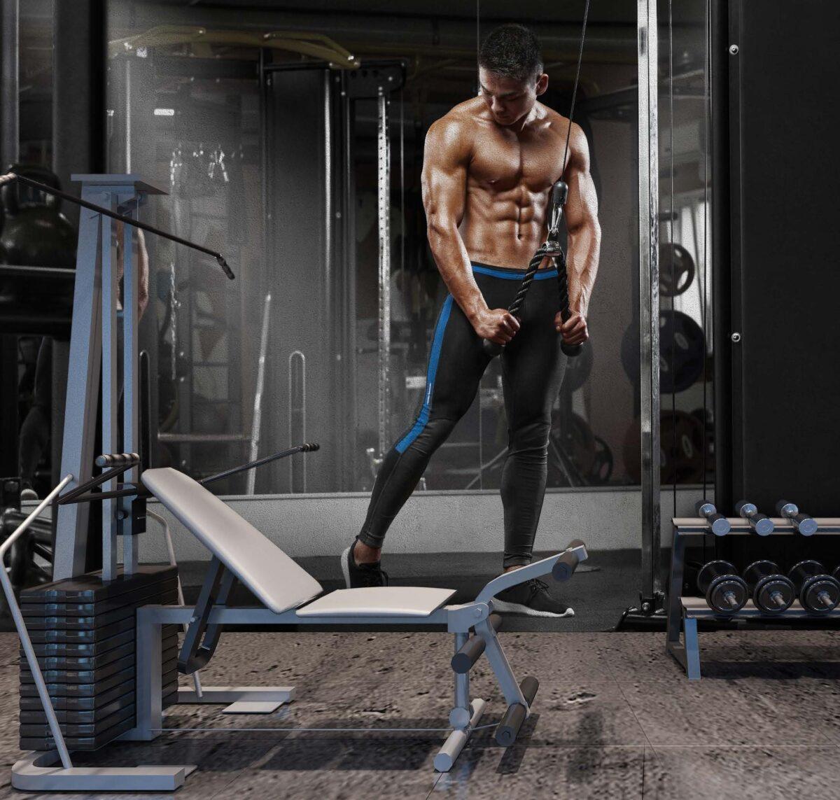 Fitness Center MURAL WALLPAPER, Available in Various Paper Texture, Code G109. 105 CM WIDE ROLL PANELS. - Image 2