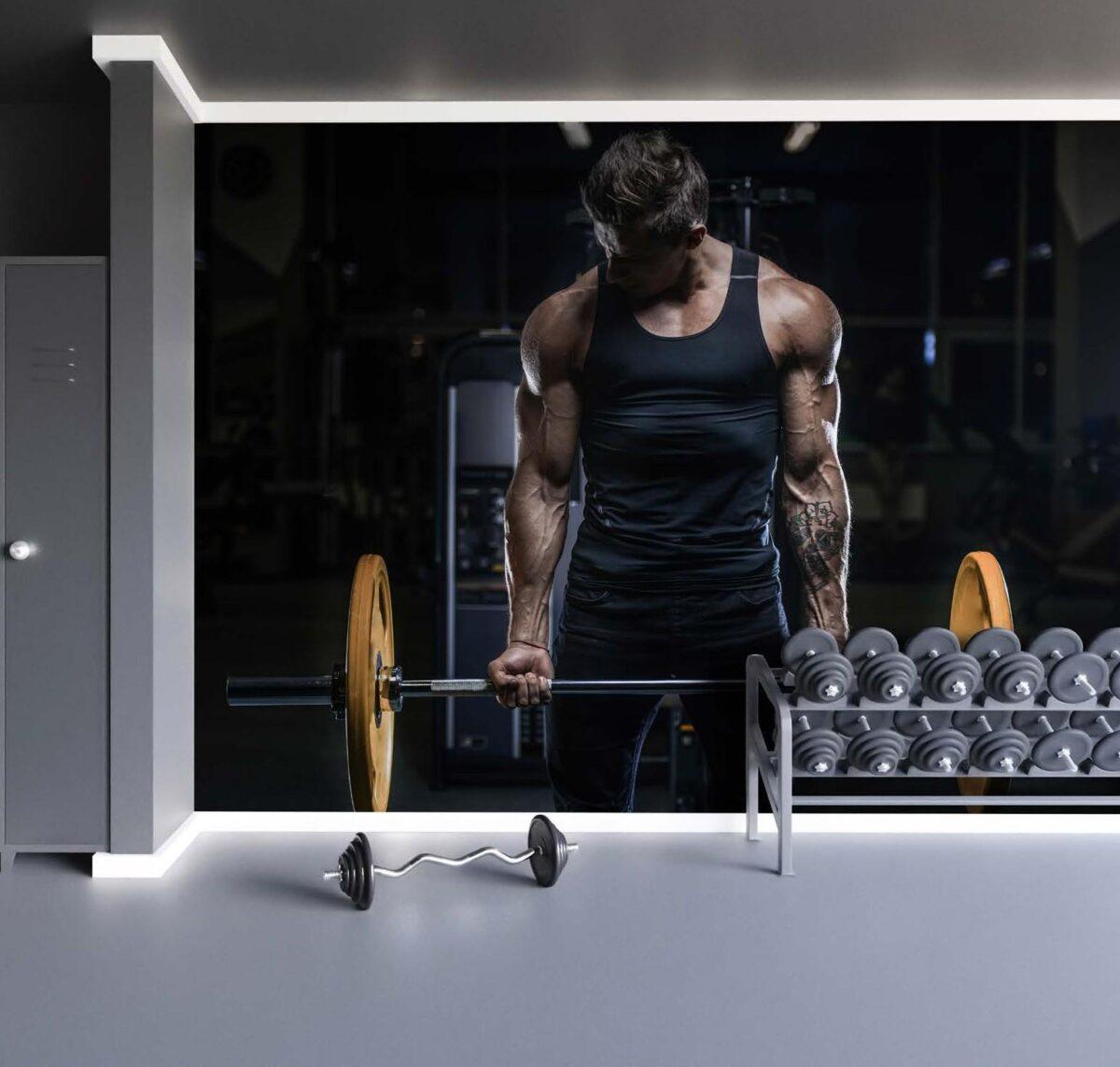Fitness Center MURAL WALLPAPER, Available in Various Paper Texture, Code G123. 105 CM WIDE ROLL PANELS. - Image 2