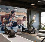 Fitness Center, VINYL FABRIC TEXTILE Wall Mural in Different Texture, Code G147. It is produced as ONE PIECE WITHOUT JOINT. - Image 2