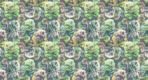 Trend MURAL WALLPAPER, Available in Various Paper Texture, Code M1002. It is Produced as 105 CM WIDE ROLL PANELS.