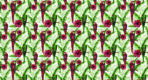 Trend MURAL WALLPAPER, Available in Various Paper Texture, Code M1018. It is Produced as 105 CM WIDE ROLL PANELS.