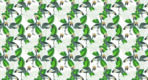 Trend MURAL WALLPAPER, Available in Various Paper Texture, Code M1019. It is Produced as 105 CM WIDE ROLL PANELS.