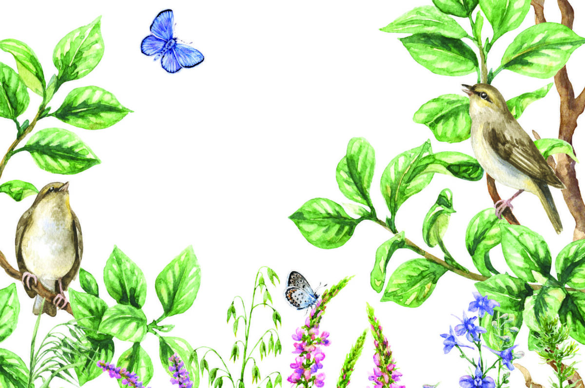 Trend MURAL WALLPAPER, Available in Various Paper Texture, Code M1031. It is Produced as 105 CM WIDE ROLL PANELS. - Image 1