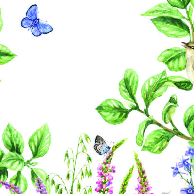 Trend, VINYL FABRIC TEXTILE Wall Mural in Different Texture, Code M1031. It is produced as ONE PIECE WITHOUT JOINT.