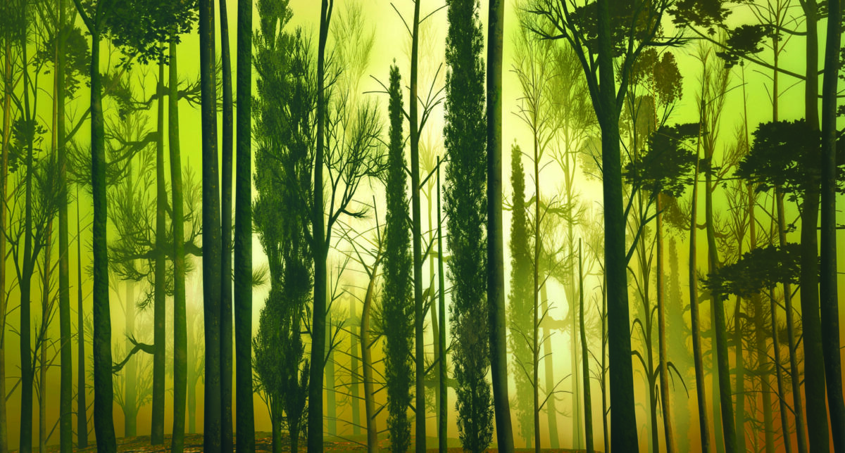 Landscape, VINYL FABRIC TEXTILE Wall Mural in Different Texture, Code M1044. It is produced as ONE PIECE WITHOUT JOINT. - Image 1