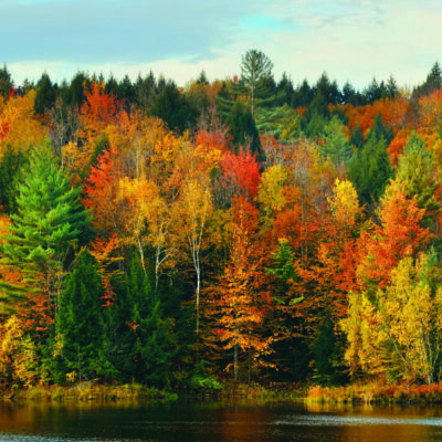 Landscape MURAL WALLPAPER, Available in Various Paper Texture, Code M1052. It is Produced as 105 CM WIDE ROLL PANELS.