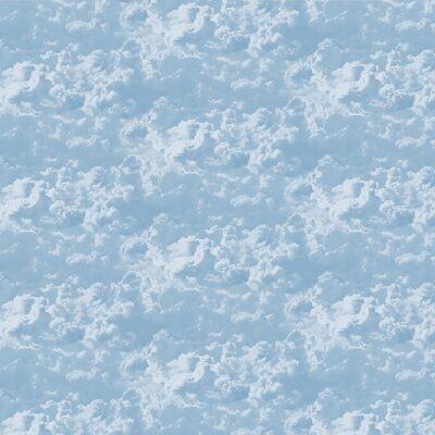Trend MURAL WALLPAPER, Available in Various Paper Texture, Code M704. It is Produced as 105 CM WIDE ROLL PANELS.