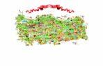 Turkey Map MURAL WALLPAPER, Available in Various Paper Texture, Code M705. It is Produced as 105 CM WIDE ROLL PANELS.