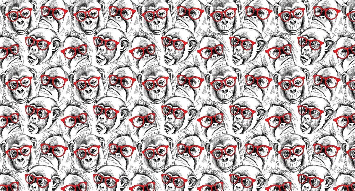 Trend MURAL WALLPAPER, Available in Various Paper Texture, Code M811. It is Produced as 105 CM WIDE ROLL PANELS. - Image 1
