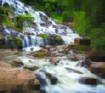 Landscape, VINYL FABRIC TEXTILE Wall Mural in Different Texture, Code M875. It is produced as ONE PIECE WITHOUT JOINT.