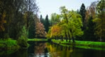 Landscape MURAL WALLPAPER, Available in Various Paper Texture, Code M876. It is Produced as 105 CM WIDE ROLL PANELS.