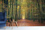 Autumn Nature MURAL WALLPAPER, Available in Various Paper Texture, Code M877. It is Produced as 105 CM WIDE ROLL PANELS. - Image 2