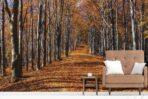 Autumn MURAL WALLPAPER, Available in Various Paper Texture, Code M878. It is Produced as 105 CM WIDE ROLL PANELS. - Image 2