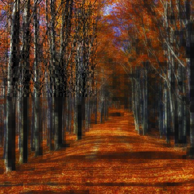 Autumn MURAL WALLPAPER, Available in Various Paper Texture, Code M878. It is Produced as 105 CM WIDE ROLL PANELS.