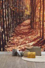 Landscape MURAL WALLPAPER, Available in Various Paper Texture, Code M879. It is Produced as 105 CM WIDE ROLL PANELS. - Image 2