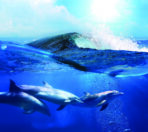 Landscape MURAL WALLPAPER, Available in Various Paper Texture, Code M886. It is Produced as 105 CM WIDE ROLL PANELS.