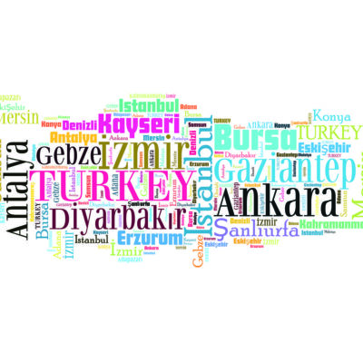Turkey Graphic, VINYL FABRIC TEXTILE Wall Mural in Different Texture, Code M911. It is produced as ONE PIECE WITHOUT JOINT.