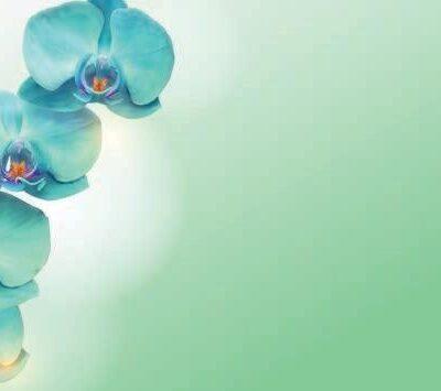 SPA Center, VINYL FABRIC TEXTILE Wall Mural in Different Texture, Code S143. It is produced as ONE PIECE WITHOUT JOINT.