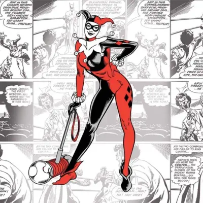 HARLEY QUINN, VINYL FABRIC TEXTILE Wall Mural in Different Texture, Code WB2042. It is produced as ONE PIECE WITHOUT JOINT.
