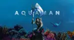 AQUAMAN, VINYL FABRIC TEXTILE Wall Mural in Different Texture, Code WB2060. It is produced as ONE PIECE WITHOUT JOINT.