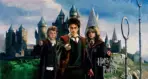 HARRY POTTER, VINYL FABRIC TEXTILE Wall Mural in Different Texture, Code WB2086. It is produced as ONE PIECE WITHOUT JOINT.