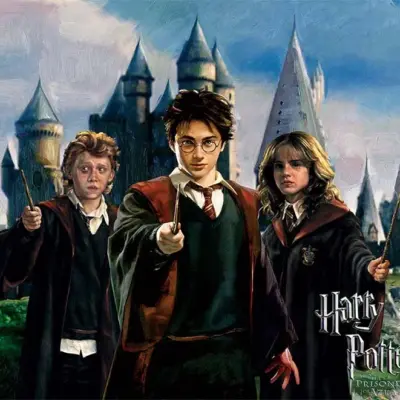HARRY POTTER, VINYL FABRIC TEXTILE Wall Mural in Different Texture, Code WB2086. It is produced as ONE PIECE WITHOUT JOINT.