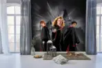 HARRY POTTER MURAL WALLPAPER, Available in Various Paper Texture, Code WB2087. 105 CM WIDE ROLL PANELS. - Image 2