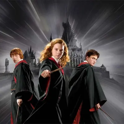 HARRY POTTER MURAL WALLPAPER, Available in Various Paper Texture, Code WB2087. 105 CM WIDE ROLL PANELS.