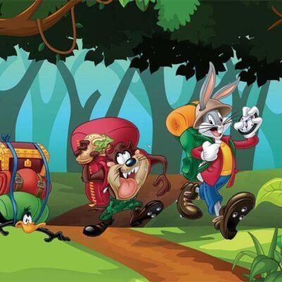 LOONEY TUNES, VINYL FABRIC TEXTILE Wall Mural in Different Texture, Code WB2100. It is produced as ONE PIECE WITHOUT JOINT.