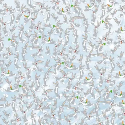 LOONEY TUNES, VINYL FABRIC TEXTILE Wall Mural in Different Texture, Code WB2107. It is produced as ONE PIECE WITHOUT JOINT.