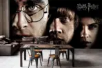 HARRY POTTER, VINYL FABRIC TEXTILE Wall Mural in Different Texture, Code WB2109. It is produced as ONE PIECE WITHOUT JOINT. - Image 2