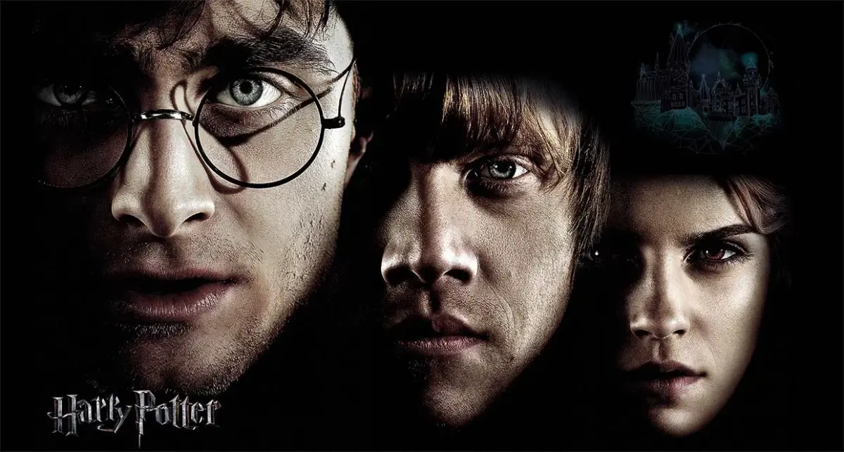 HARRY POTTER, VINYL FABRIC TEXTILE Wall Mural in Different Texture, Code WB2109. It is produced as ONE PIECE WITHOUT JOINT. - Image 1