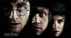 HARRY POTTER, VINYL FABRIC TEXTILE Wall Mural in Different Texture, Code WB2109. It is produced as ONE PIECE WITHOUT JOINT.