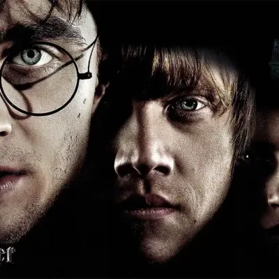 HARRY POTTER, VINYL FABRIC TEXTILE Wall Mural in Different Texture, Code WB2109. It is produced as ONE PIECE WITHOUT JOINT.