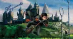 HARRY POTTER, VINYL FABRIC TEXTILE Wall Mural in Different Texture, Code WB2112. It is produced as ONE PIECE WITHOUT JOINT.