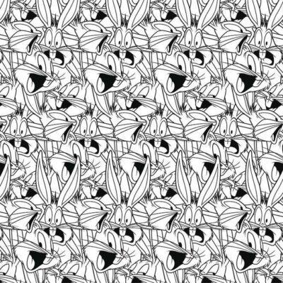 LOONEY TUNES, VINYL FABRIC TEXTILE Wall Mural in Different Texture, Code WB2134. It is produced as ONE PIECE WITHOUT JOINT.