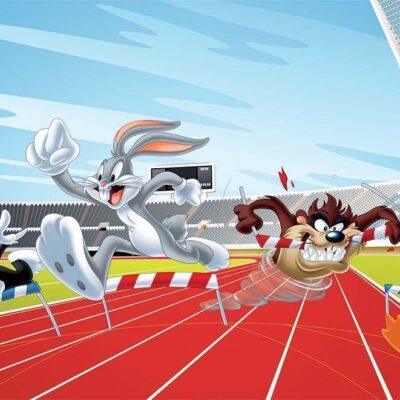 LOONEY TUNES, VINYL FABRIC TEXTILE Wall Mural in Different Texture, Code WB2170. It is produced as ONE PIECE WITHOUT JOINT.