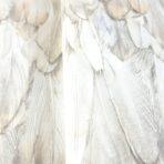 Modern Bird Feather Patterned Wallpaper Beige Code 9913-2 - Image 3
