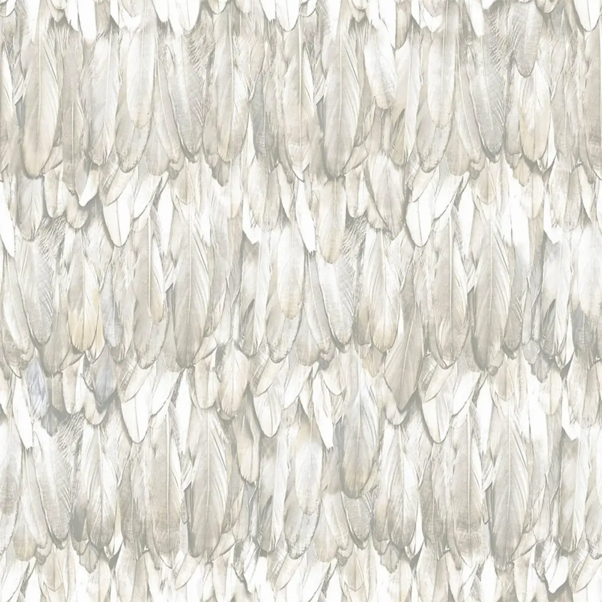 Modern Bird Feather Patterned Wallpaper Beige Code 9913-2 - Image 5