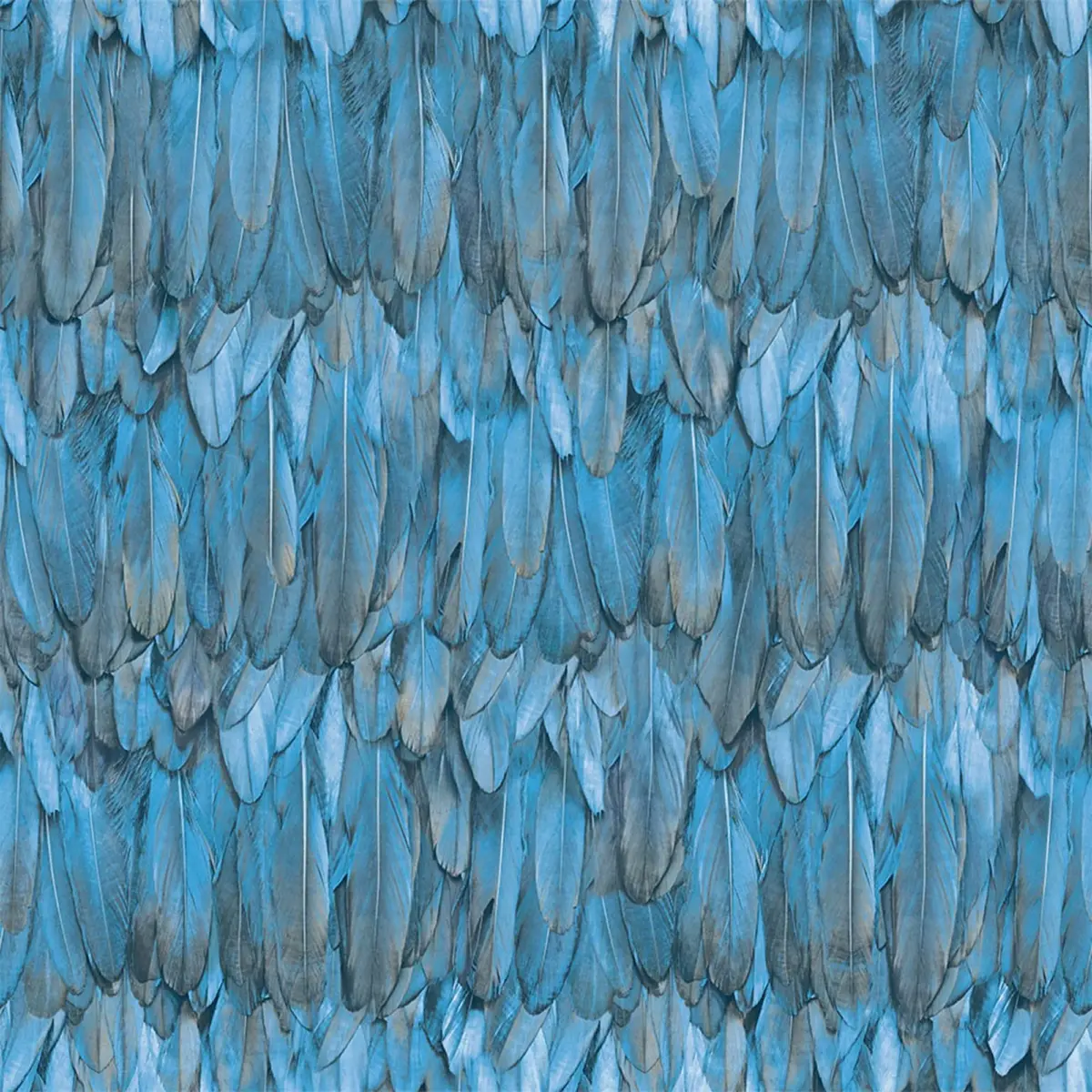 Modern Bird Feather Patterned Wallpaper Blue Code 9913-3 - Image 5
