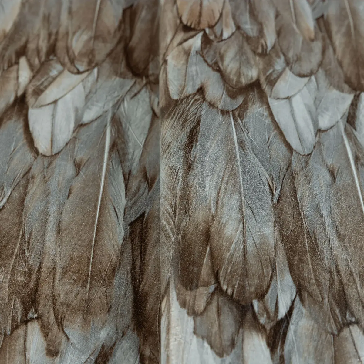 Modern Bird Feather Patterned Wallpaper Brown Code 9913-5 - Image 4