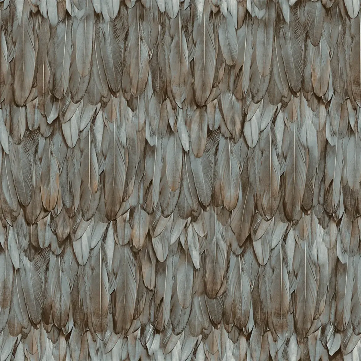 Modern Bird Feather Patterned Wallpaper Brown Code 9913-5 - Image 5