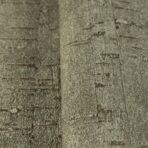 Cork Texture Inspired Modern Wallpaper Green Code 3709-4 - Image 5